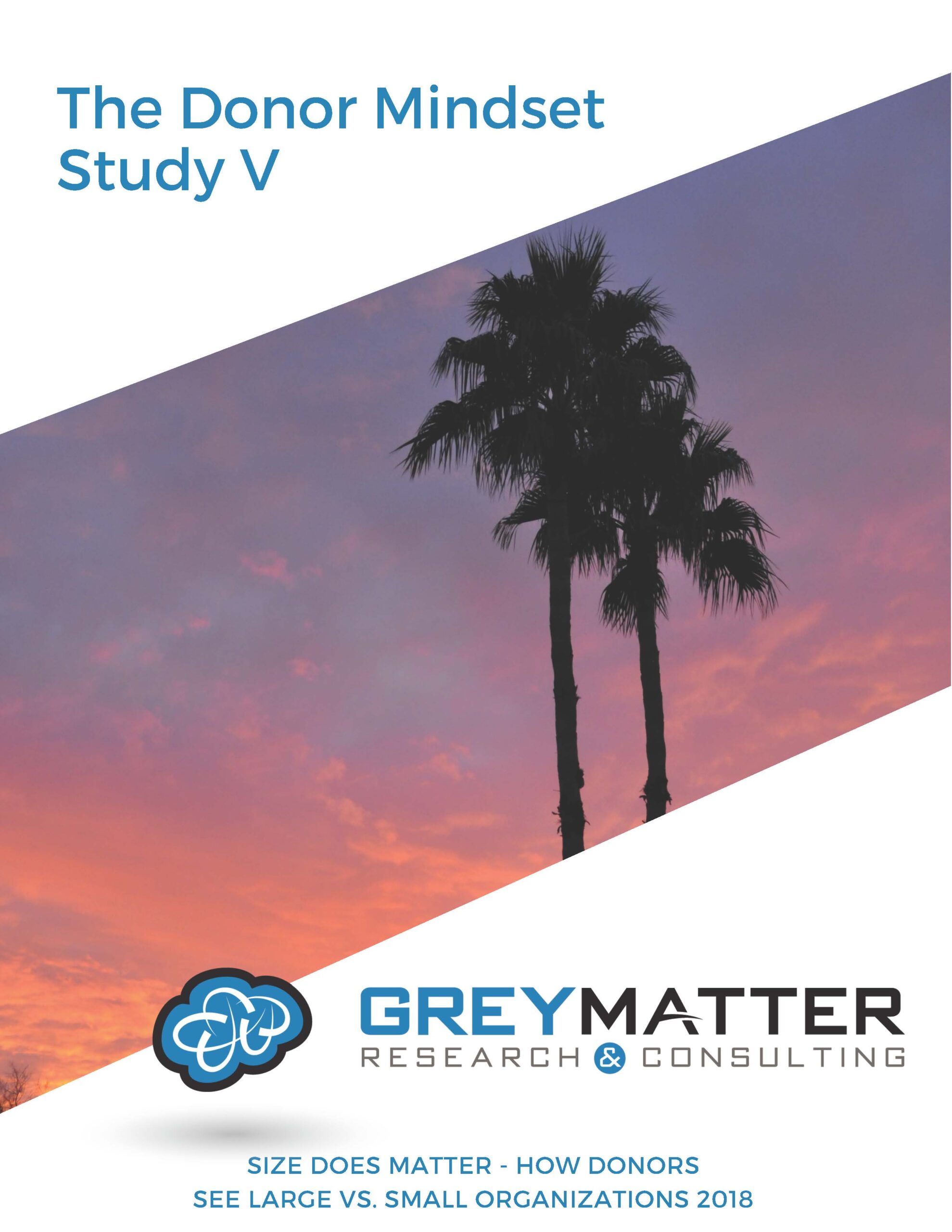 Donor Mindset Study V - Size Matters