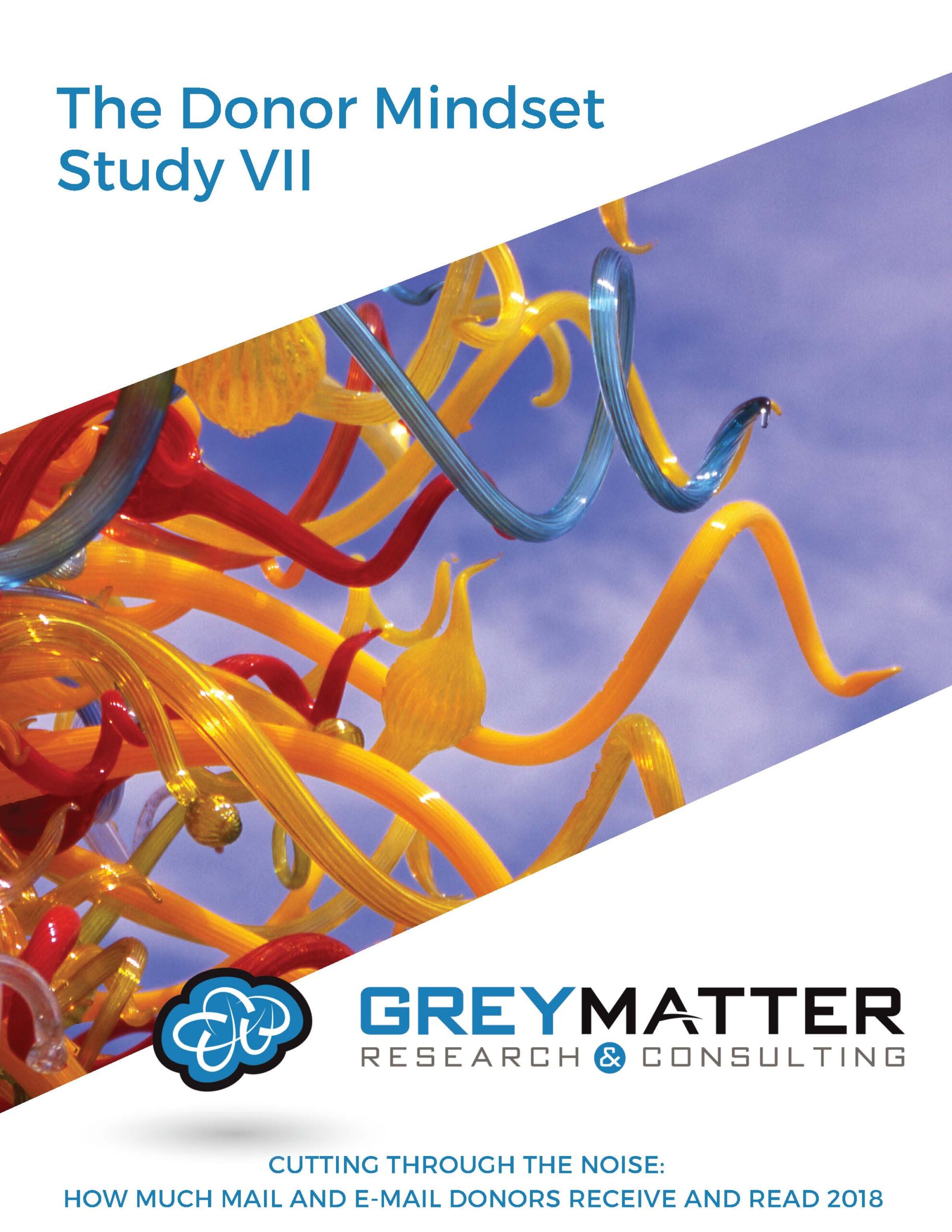 Donor Mindset Study VII Cover